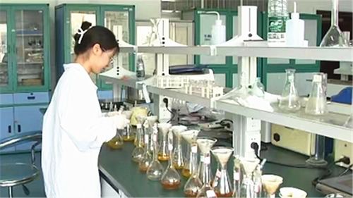 長沙建設中試基地 技術咨詢與服務如何為全球研發中心注入核心動能